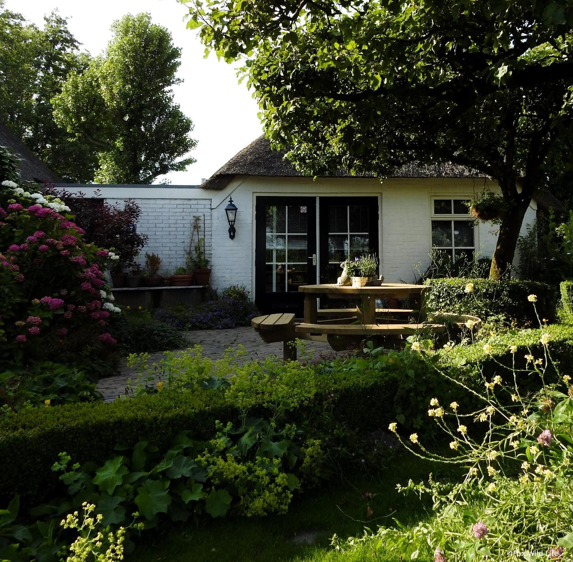 Bed and Breakfast The Wee White Hoose Oosternijkerk Экстерьер фото